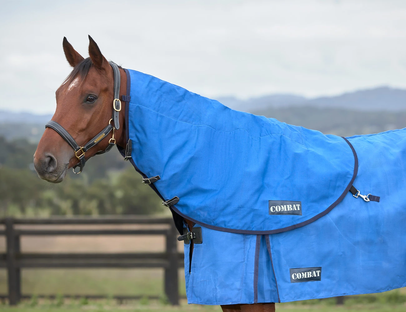 Canvas Neck Rug Medium I