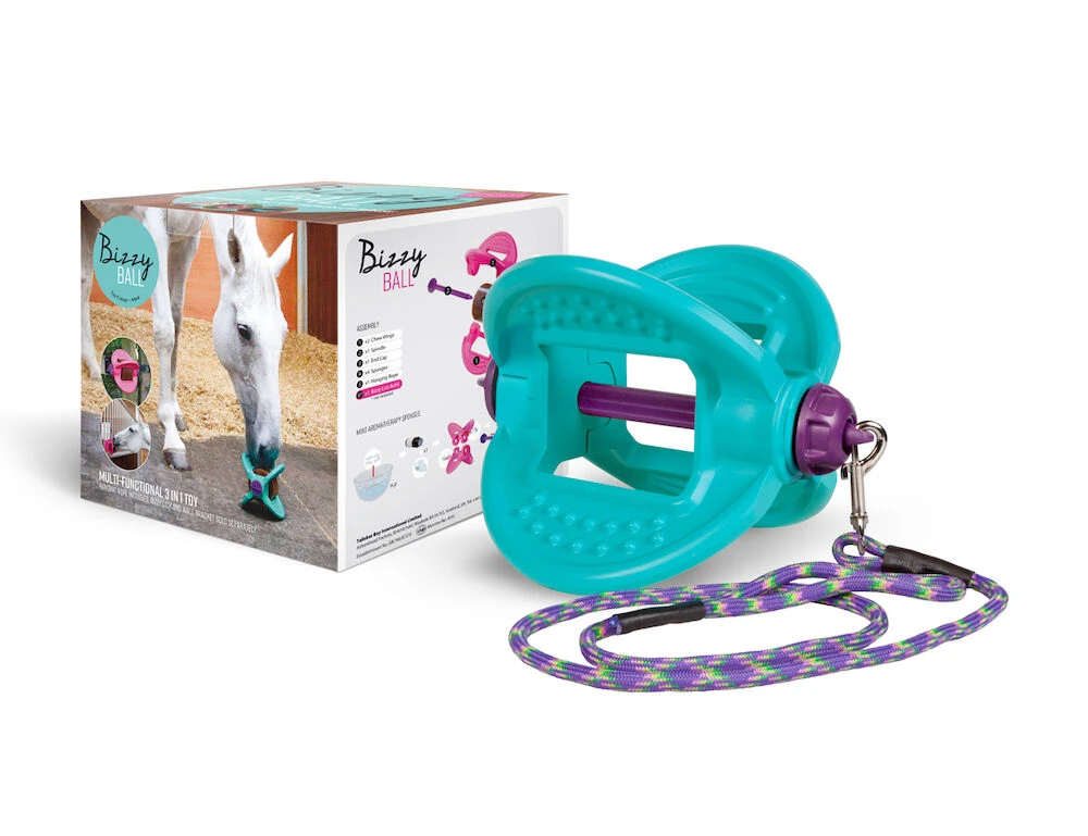 Buy Bizzy Horse Toy Online - LIKIT