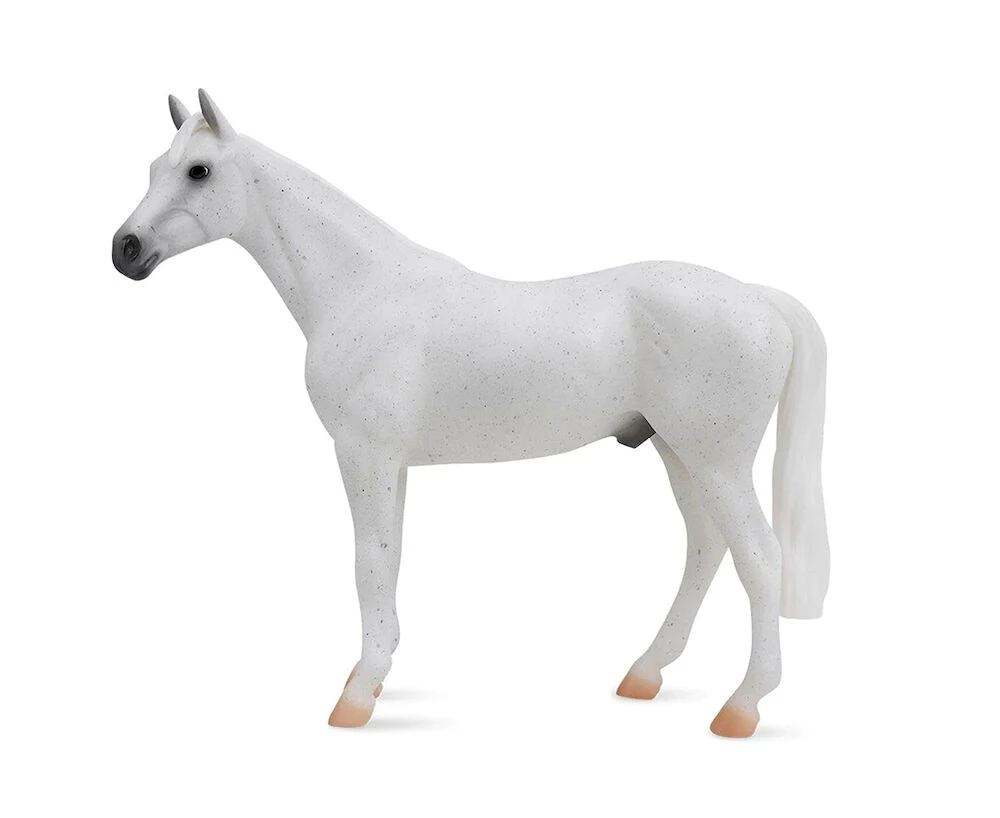 Freedom Fleabitten Grey Thoroughbred