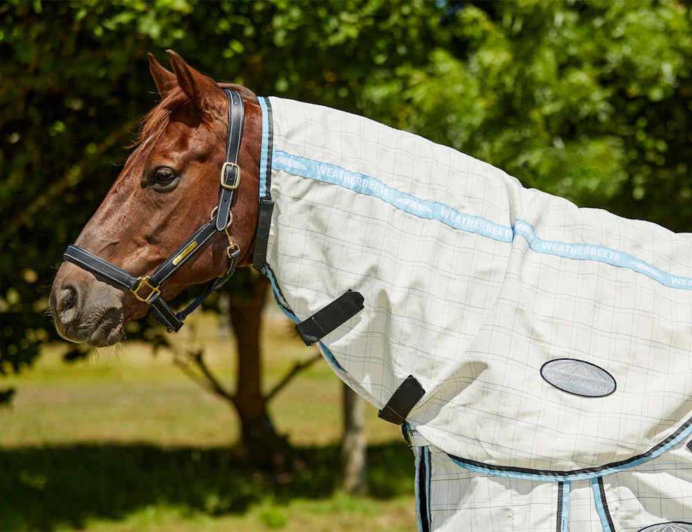 Cotton Summer Sheet Neck Rug
