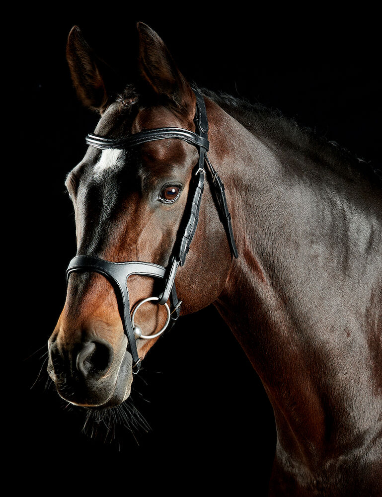 ComFiTec Xena Bridle
