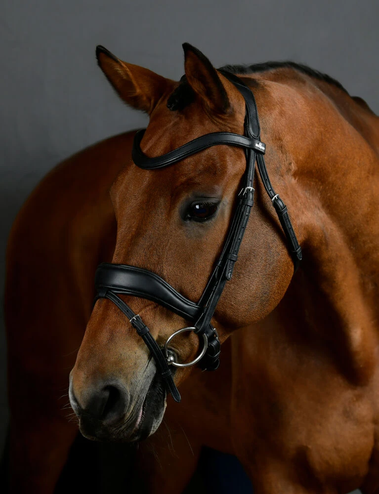ComFiTec Opulux Padded Dressage Bridle