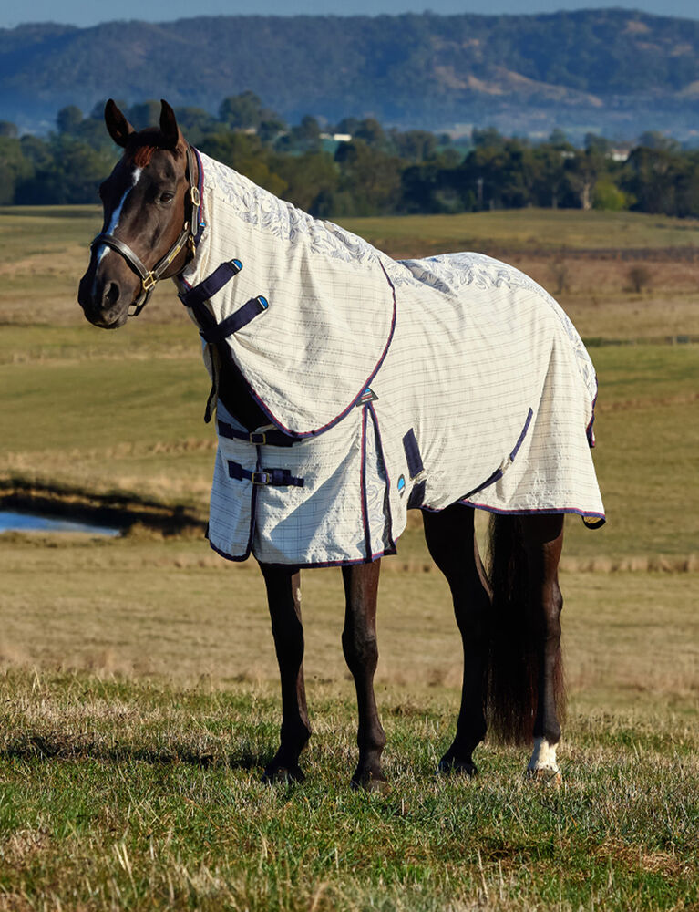 Cotton Summer Sheet Combo