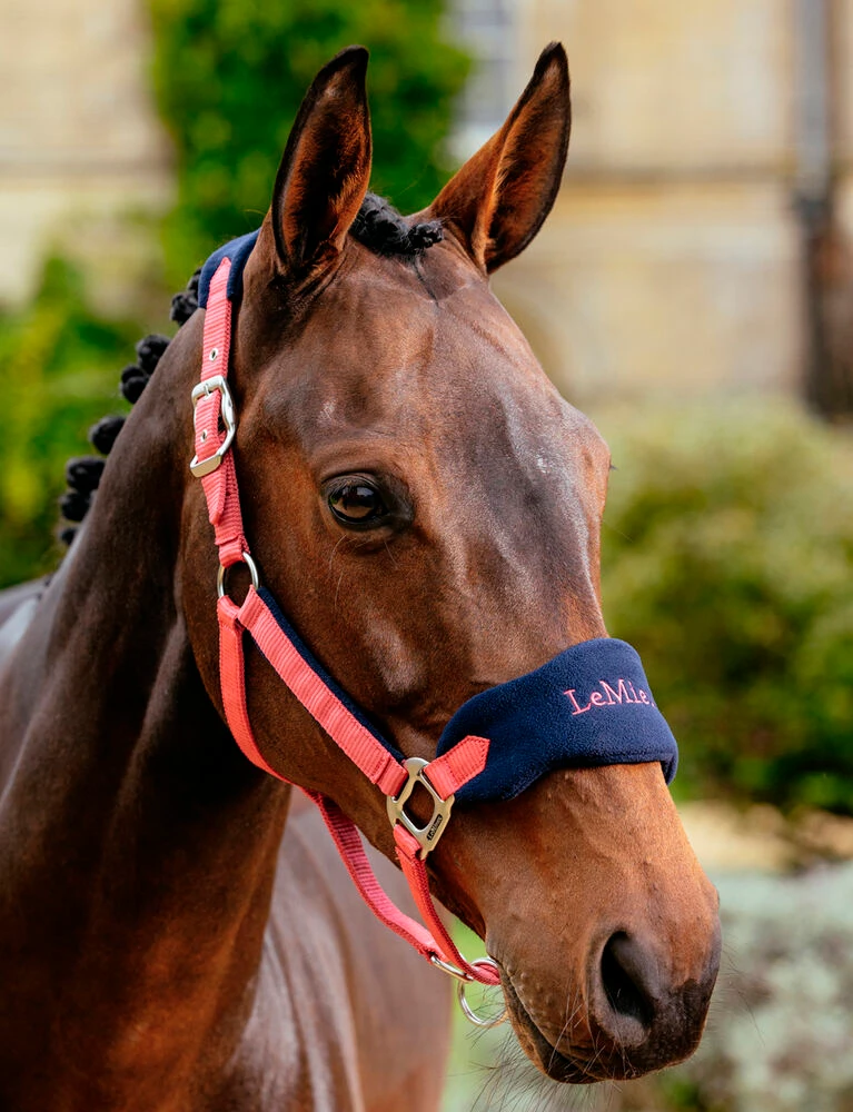 Vogue Headcollar And Leadrope