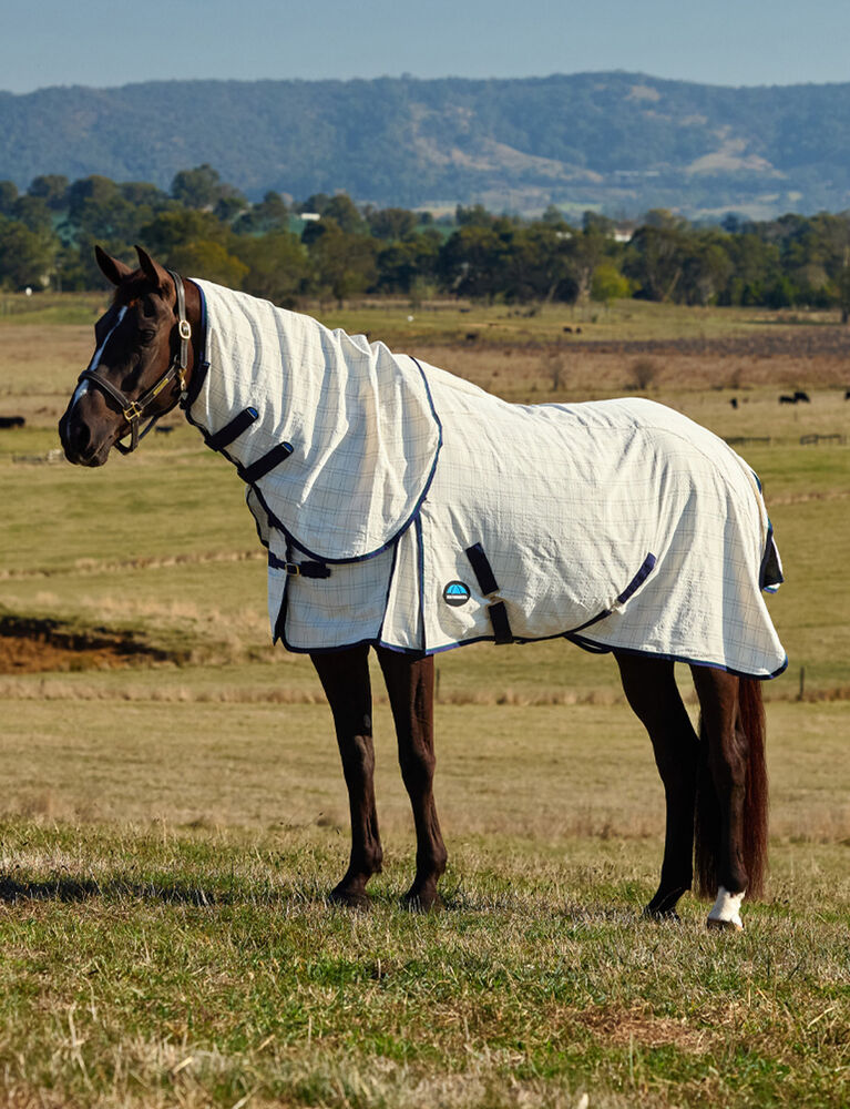 Cotton Summer Sheet Lite Combo