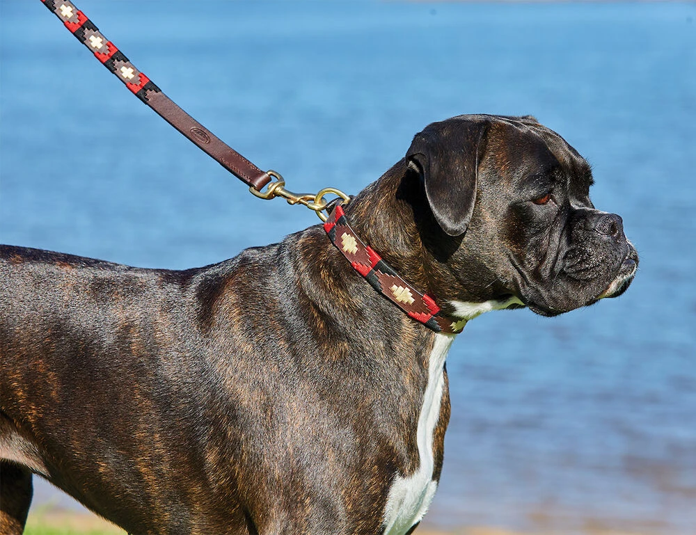 Polo Leather Dog Collar
