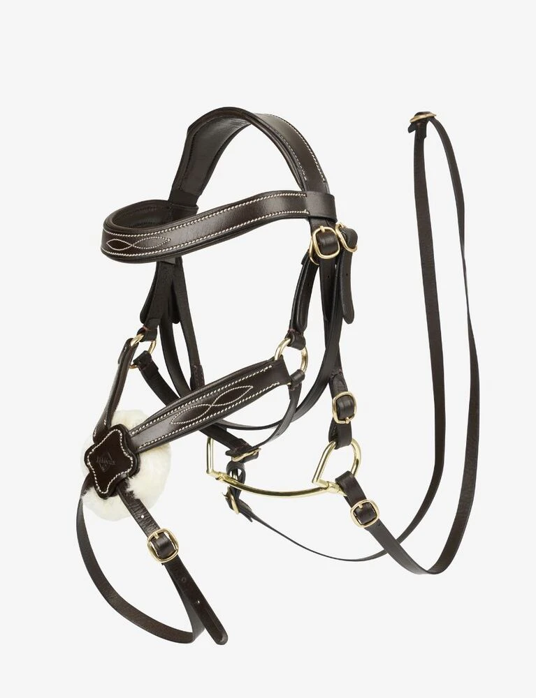 Hobby Horse Grackle Bridle