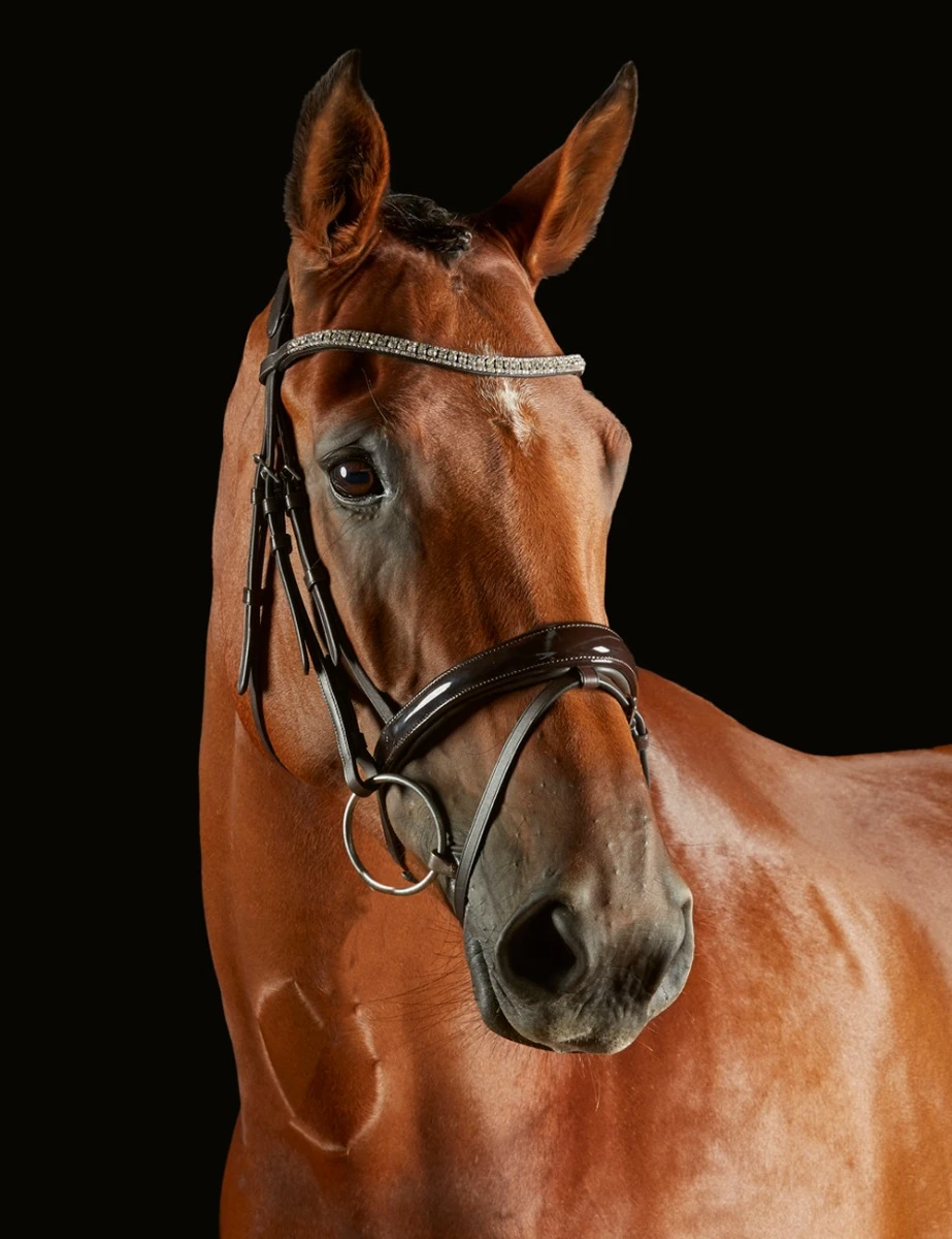 ComFiTec Luna Bridle
