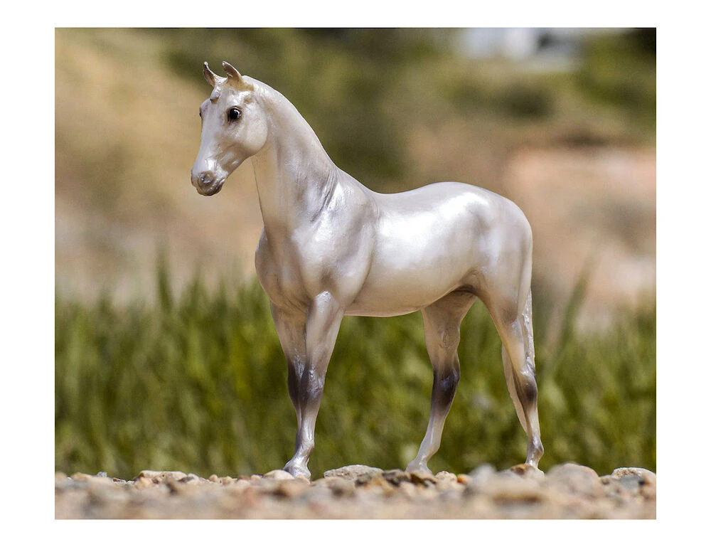 Freedom Pearly Grey Trakehner