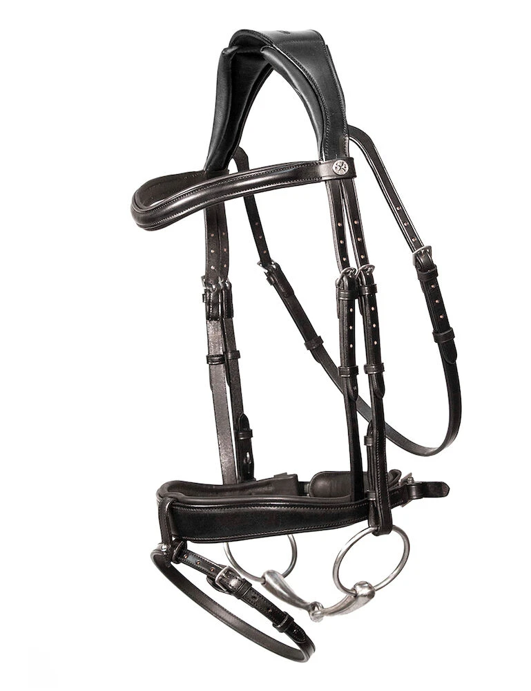 Dressage Bridle