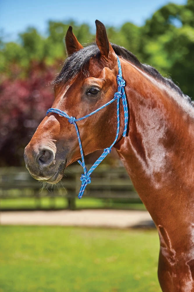 Two Toned Rope Yachting Headcollar