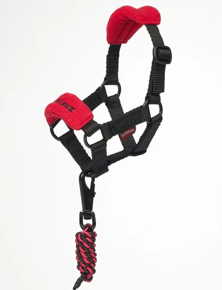 Toy Pony Headcollar