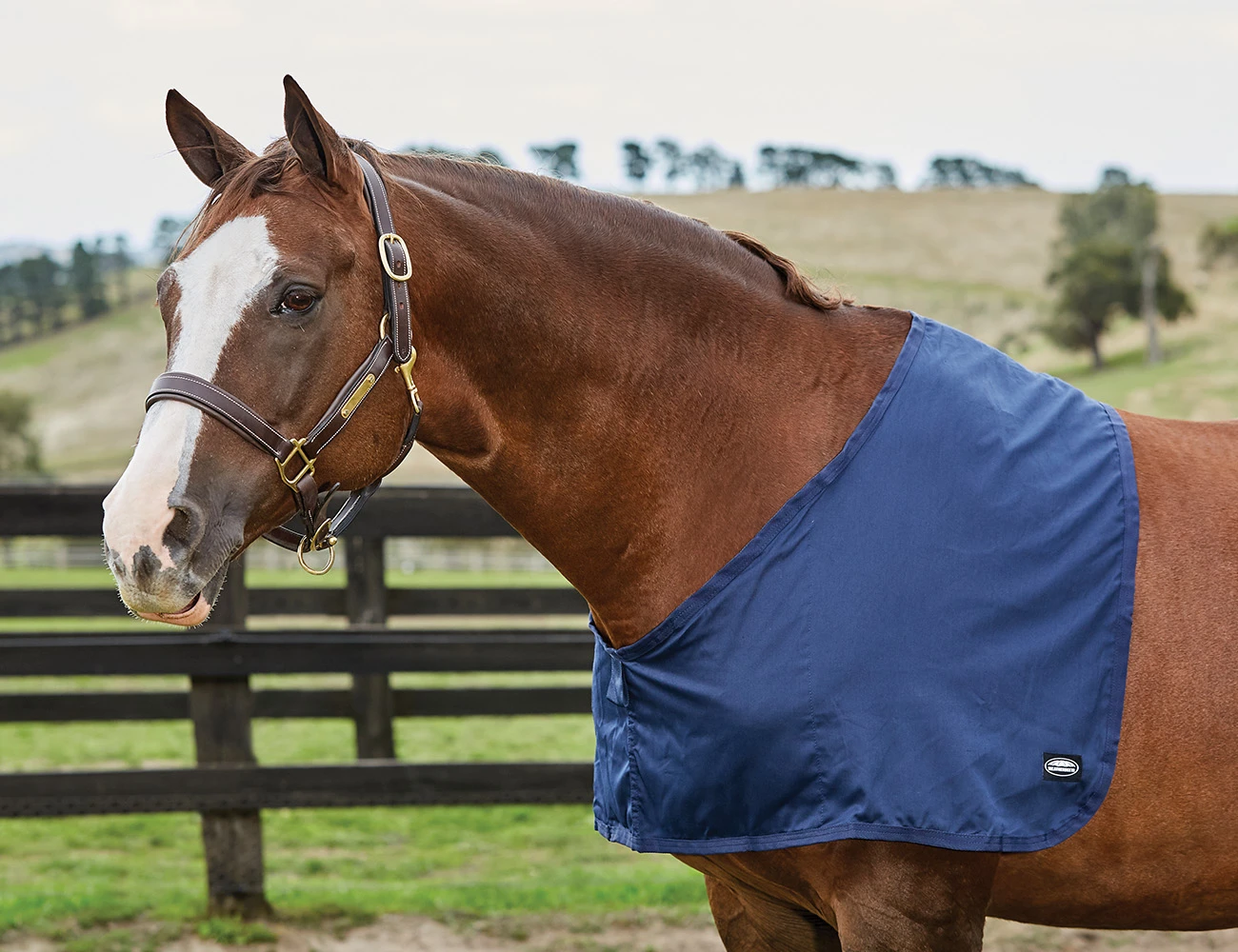 Cotton Shoulder Guard