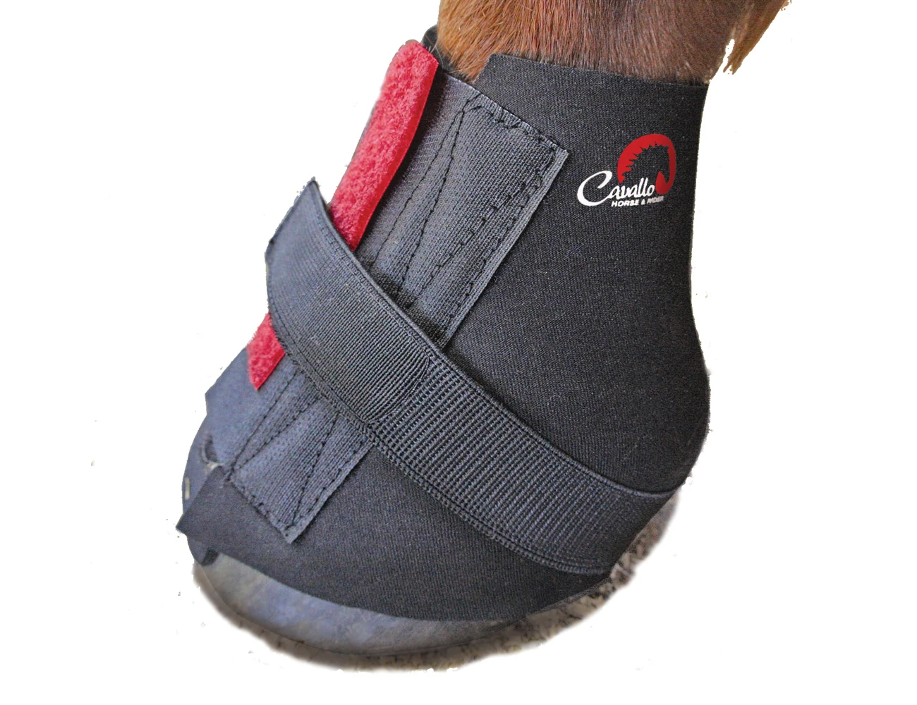 Pastern Wraps