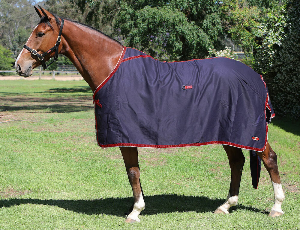 Show Circuit Cotton Rug