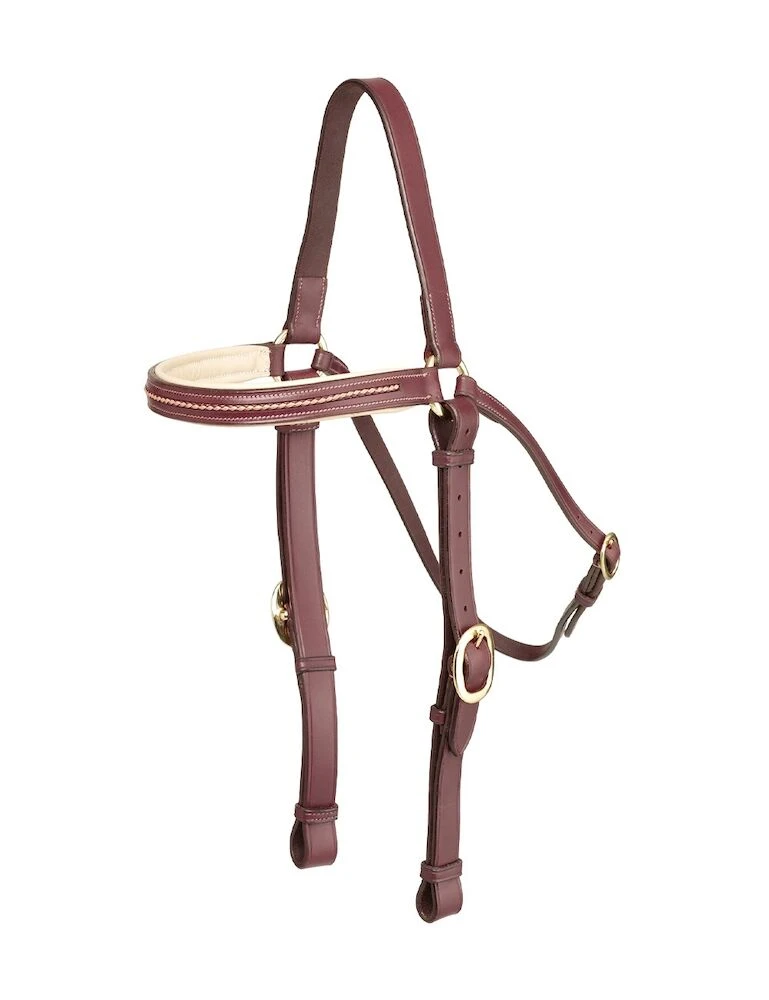 Plaited & Padded Brow Barcoo Bridle Head