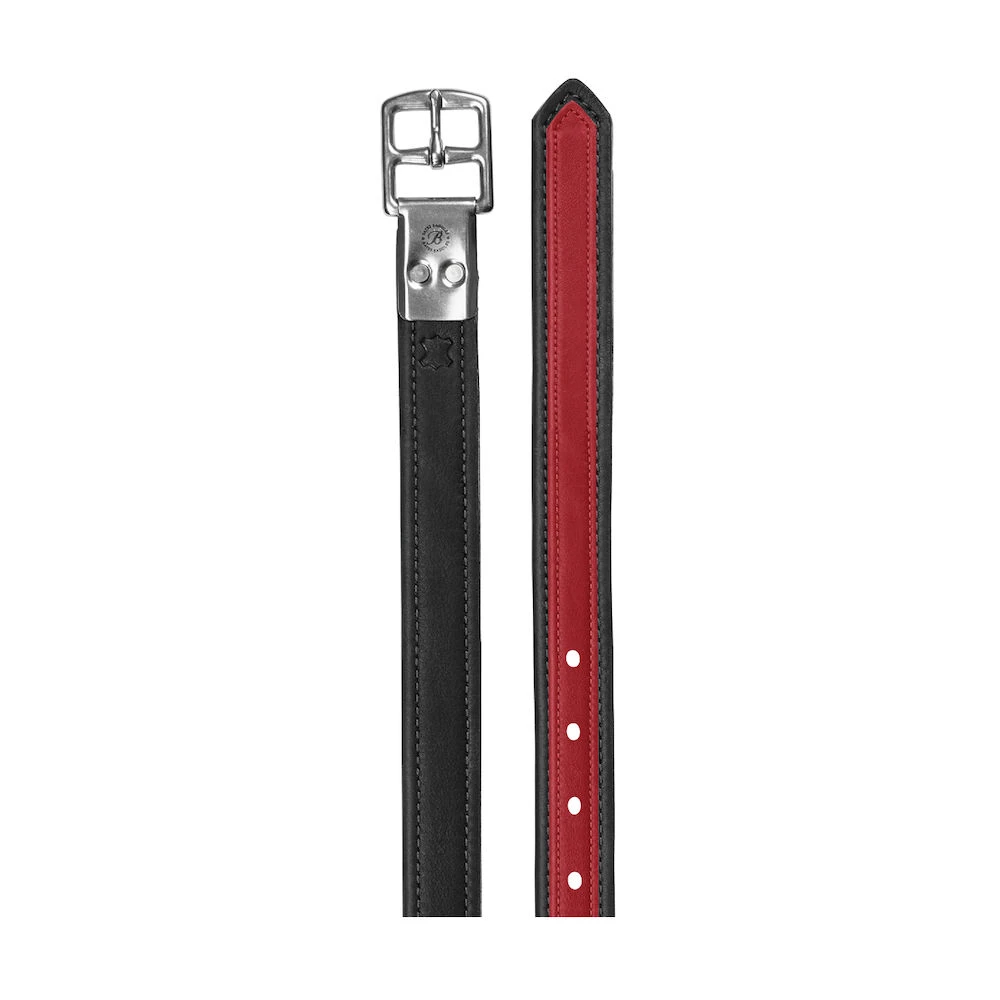 Stirrup Leathers Coloured Luxe