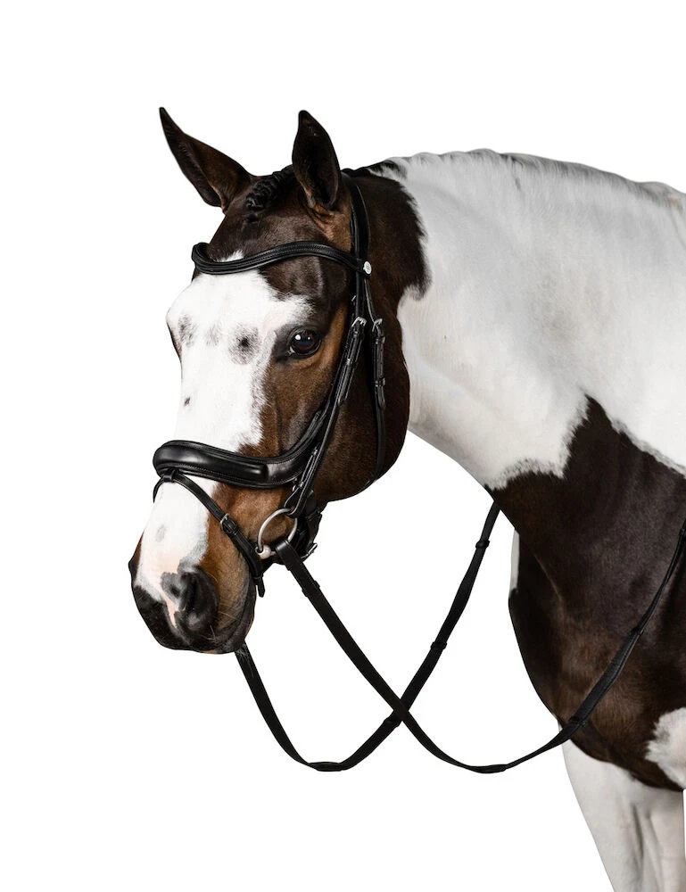 Connection Bridle