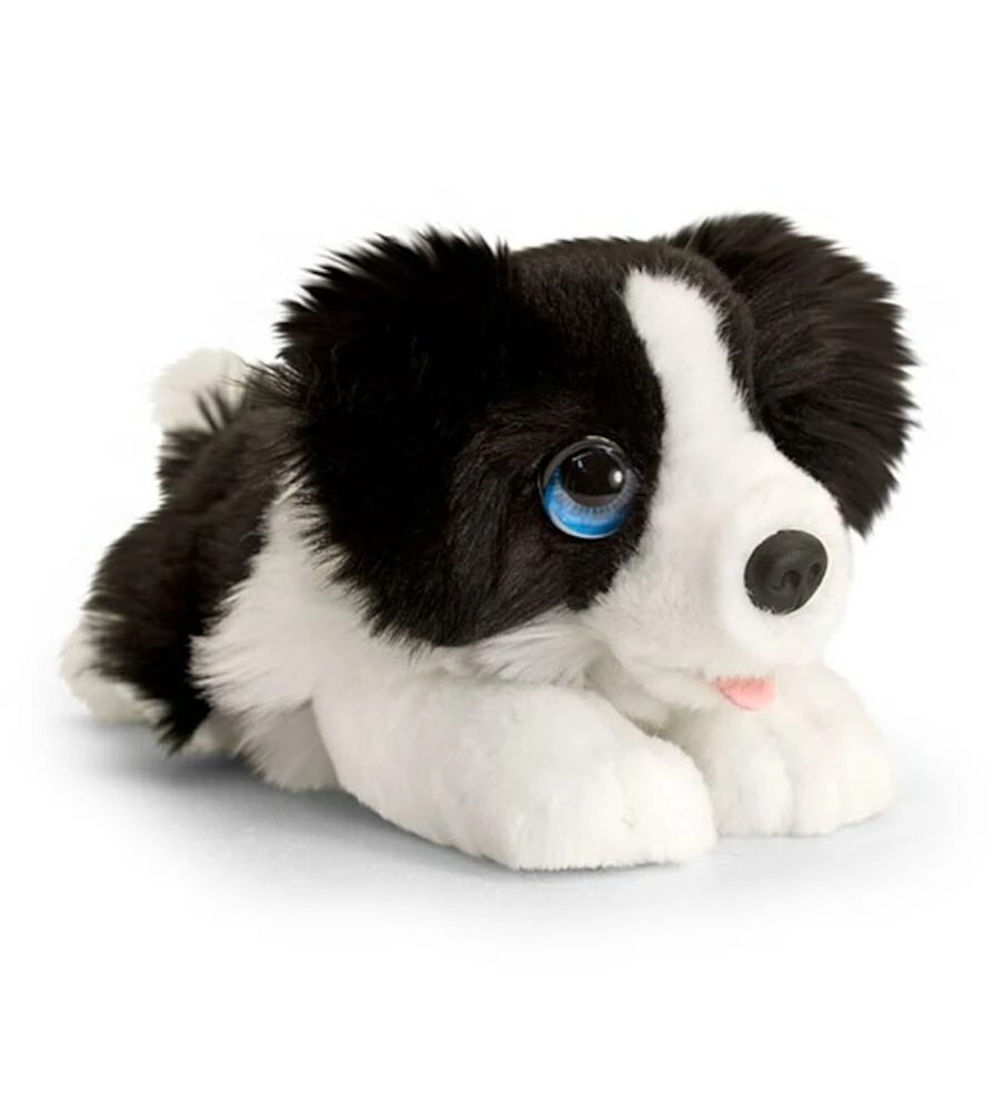 Cuddle Puppies Border Collie