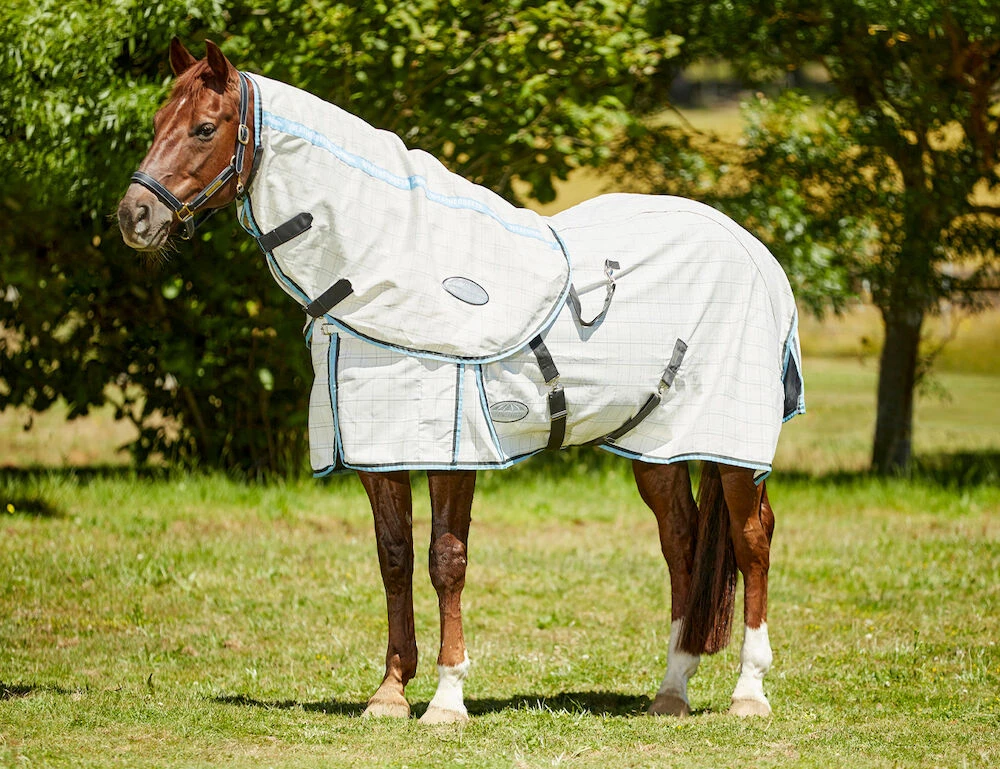 Cotton Summer Sheet Neck Rug