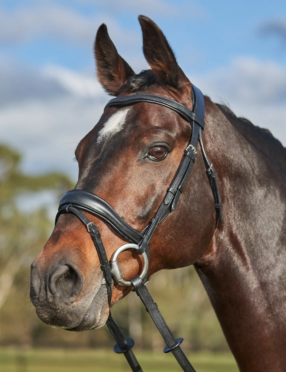 ComFiTec Grace Bridle