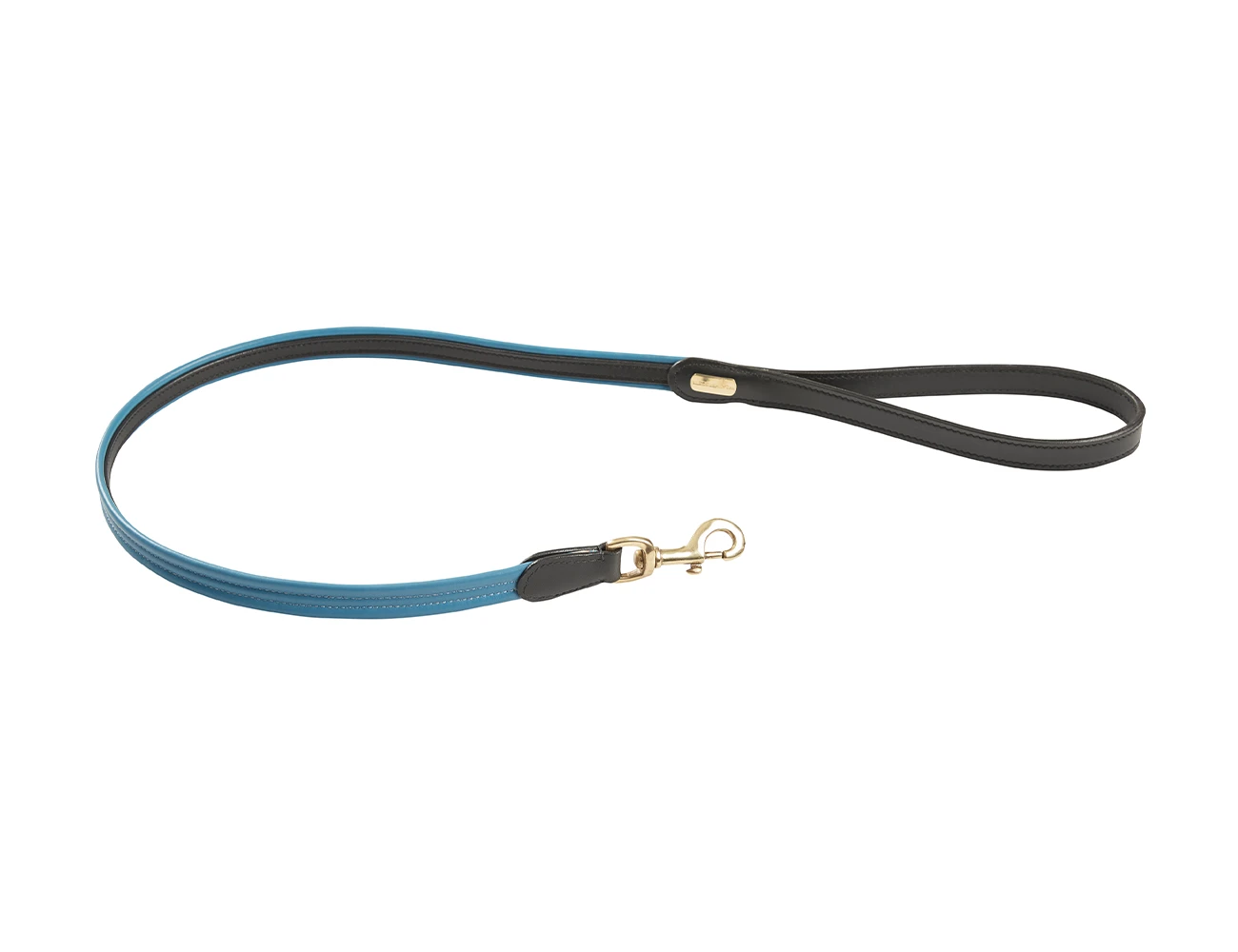 Padded Colour Leather Dog Lead