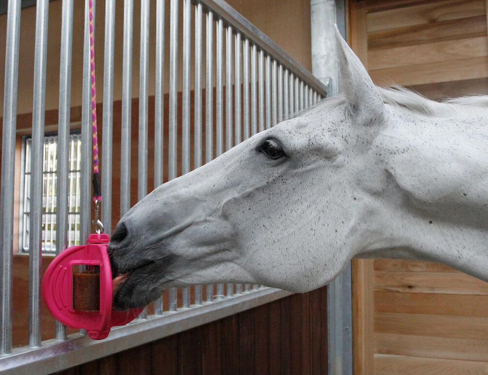 Buy Bizzy Horse Toy Online - LIKIT