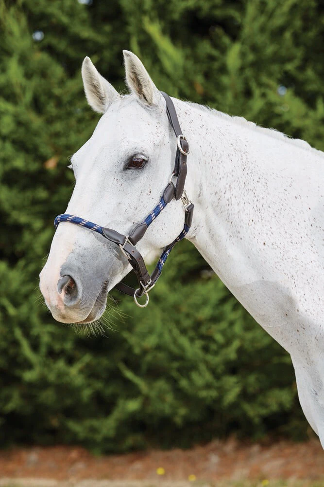 Leather Rope Headcollar