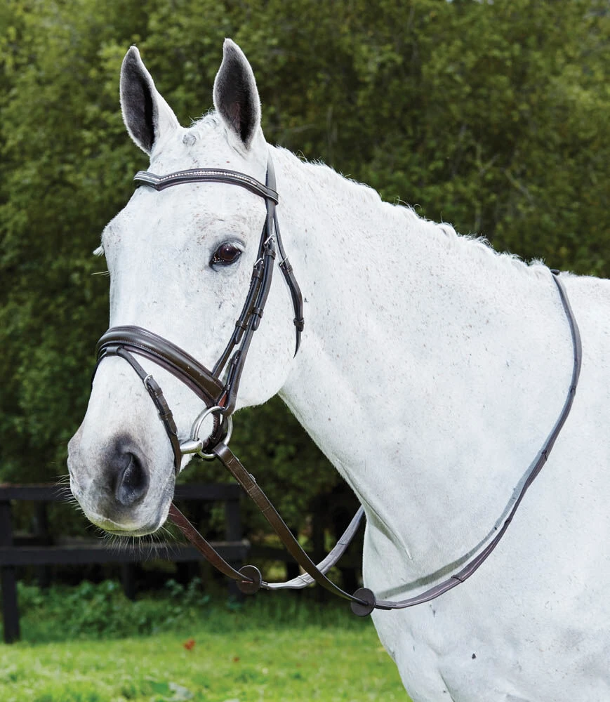Deep V Crystal Flash Bridle