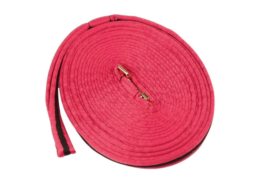 Brights Two Tone Padded Lunging Rein