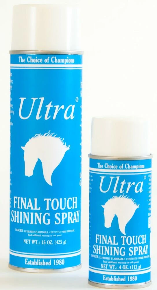 Final Touch Shining Spray