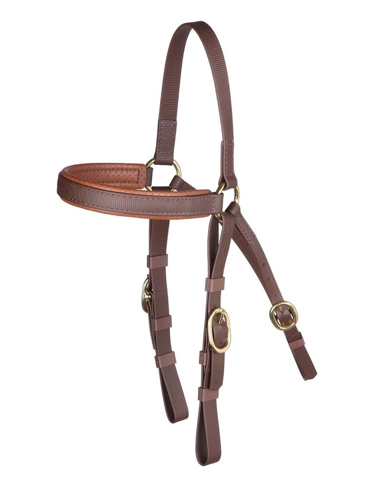 Barcoo Bridle