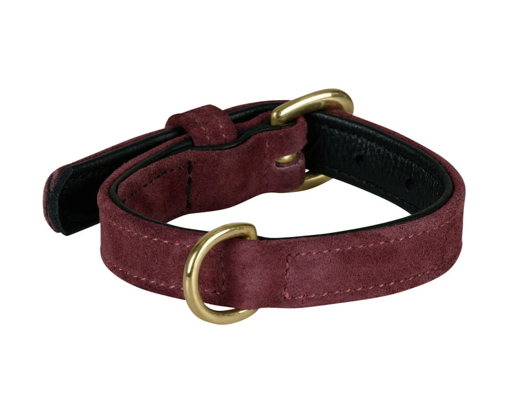 Suede Dog Collar