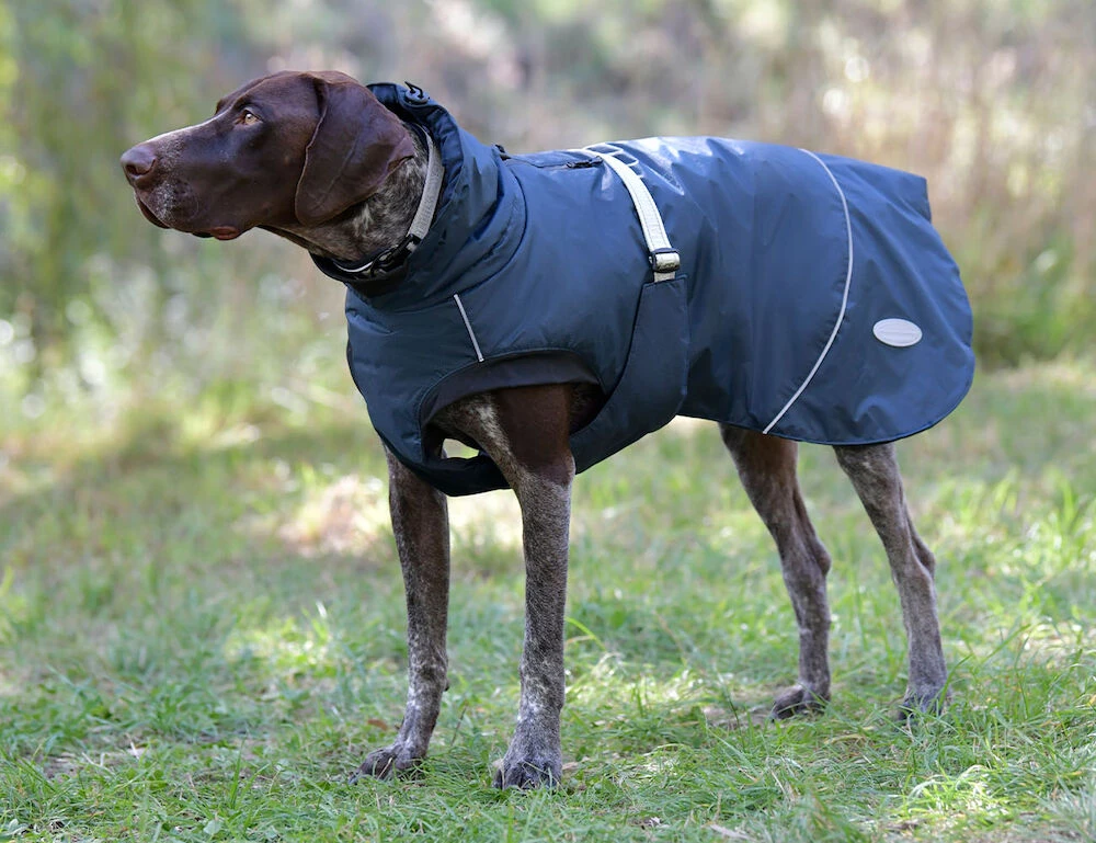 Explorer Medium Dog Coat