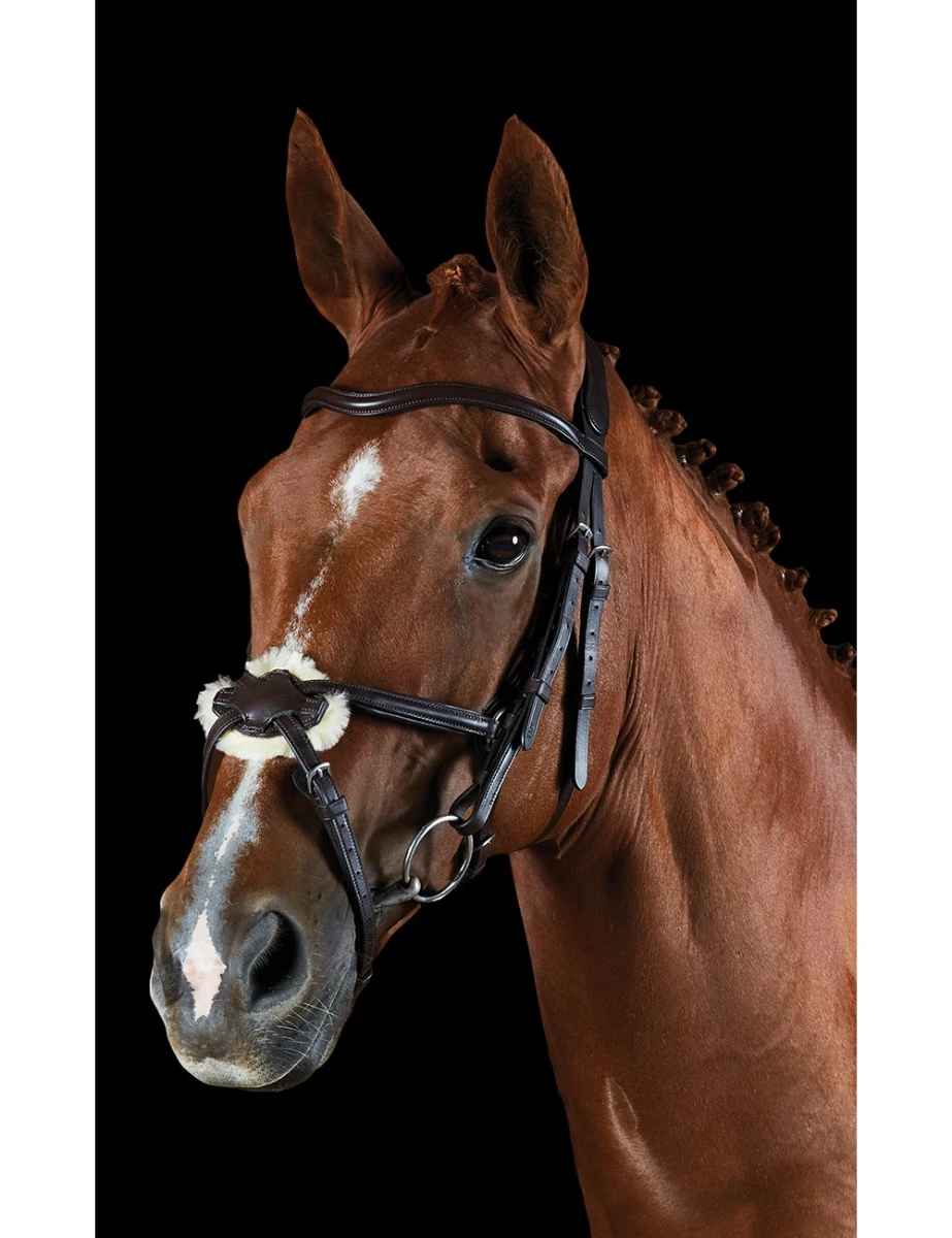 ComFiTec Grackle Bridle