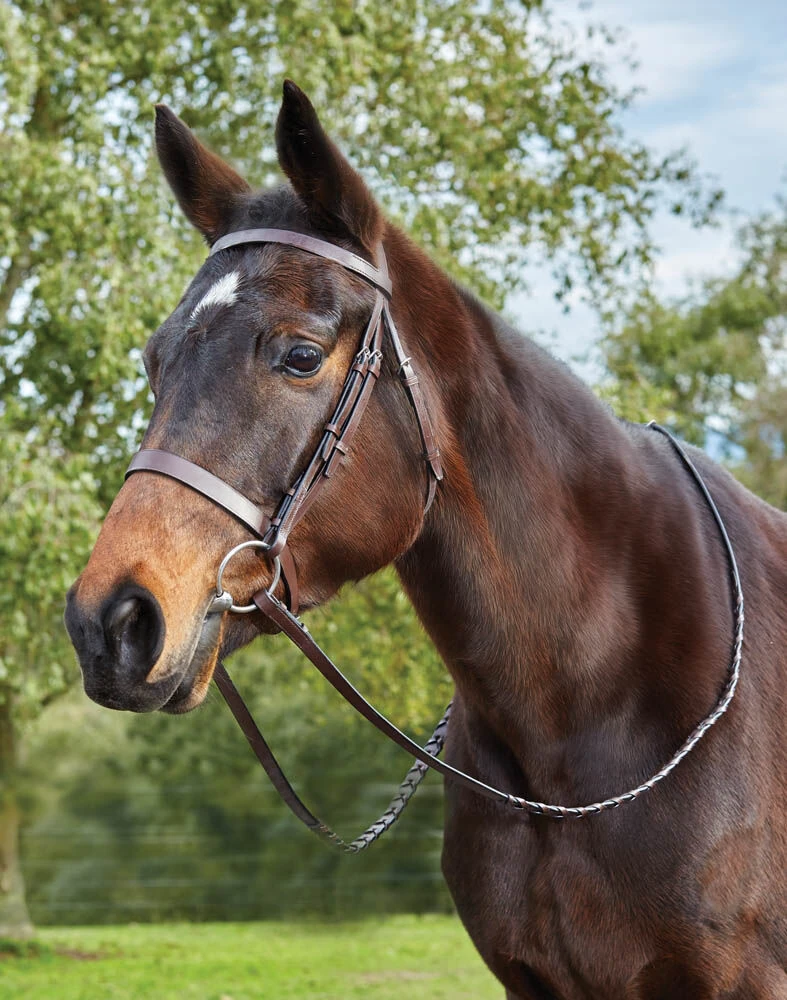 Flat Cavesson II Bridle