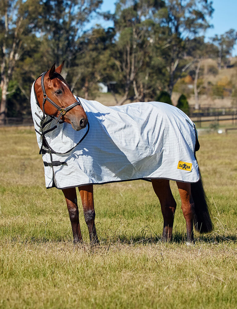 Kool Coat Classic Lite Sheet Combo