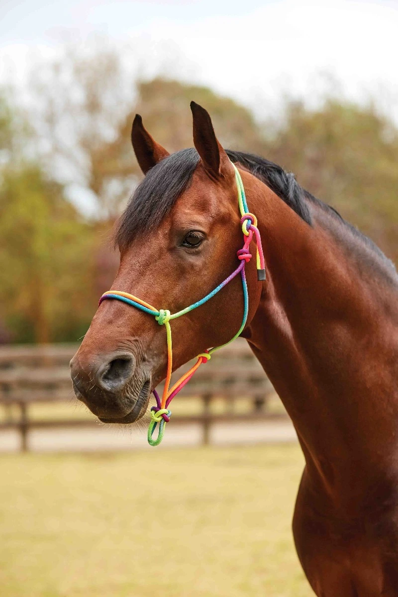 RAINBOW ROPE HEADCOLLAR