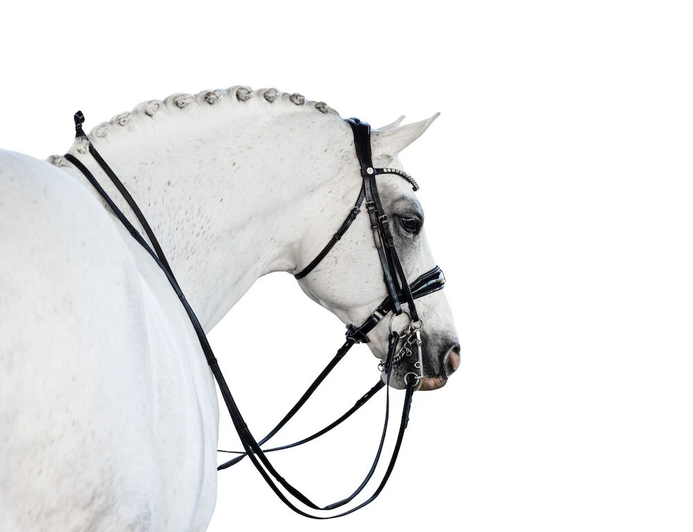 Glam Double Bridle