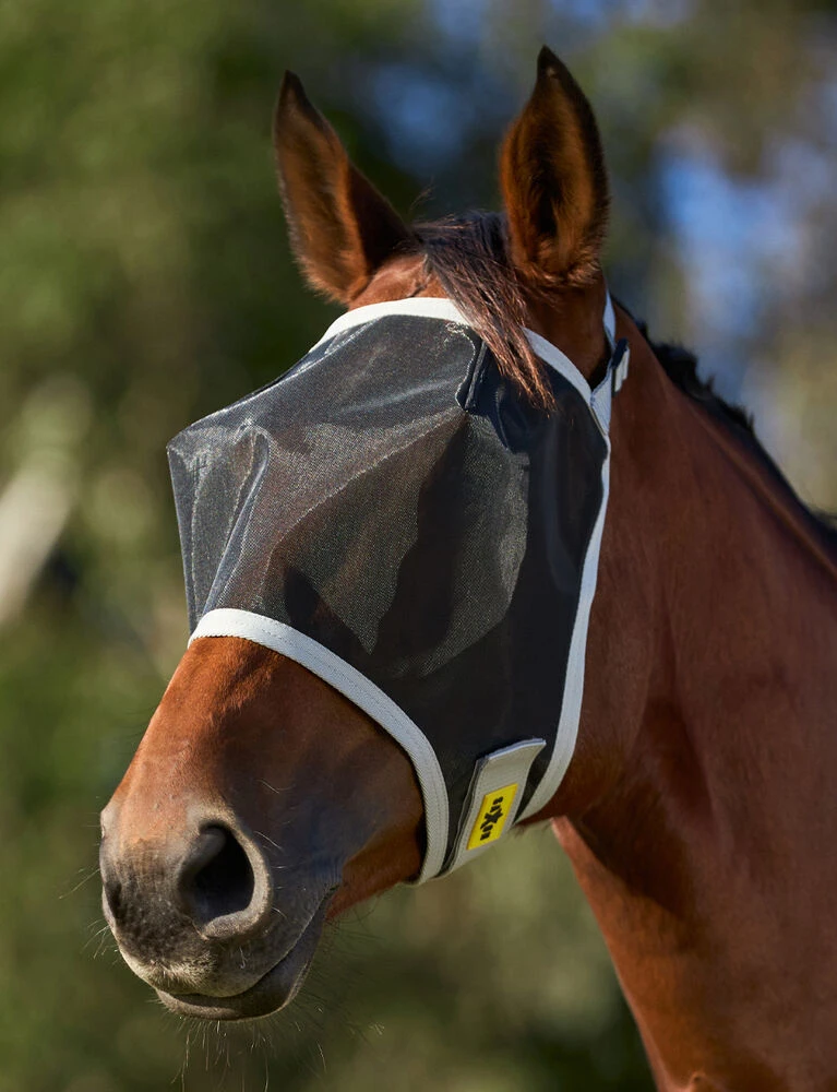 Fine Mesh Fly Mask
