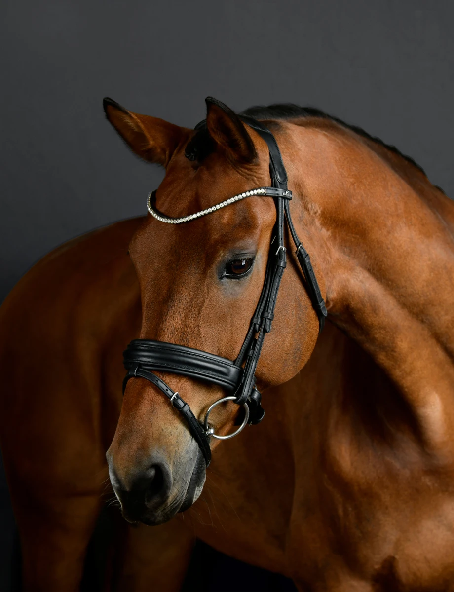 ComFiTec Opulux Raised Dressage Bridle