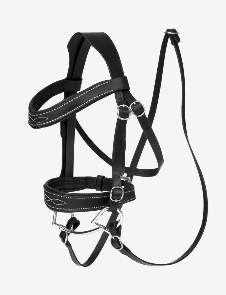 Hobby Horse Competition Bridle