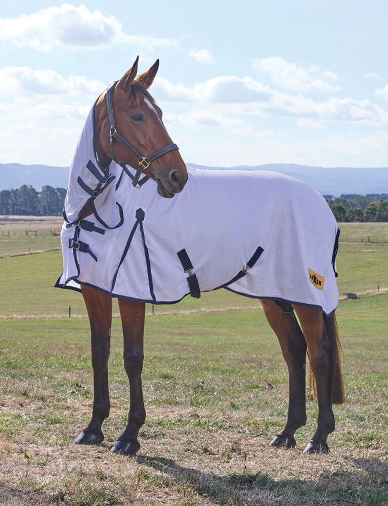 Air Mesh Fly Sheet Combo