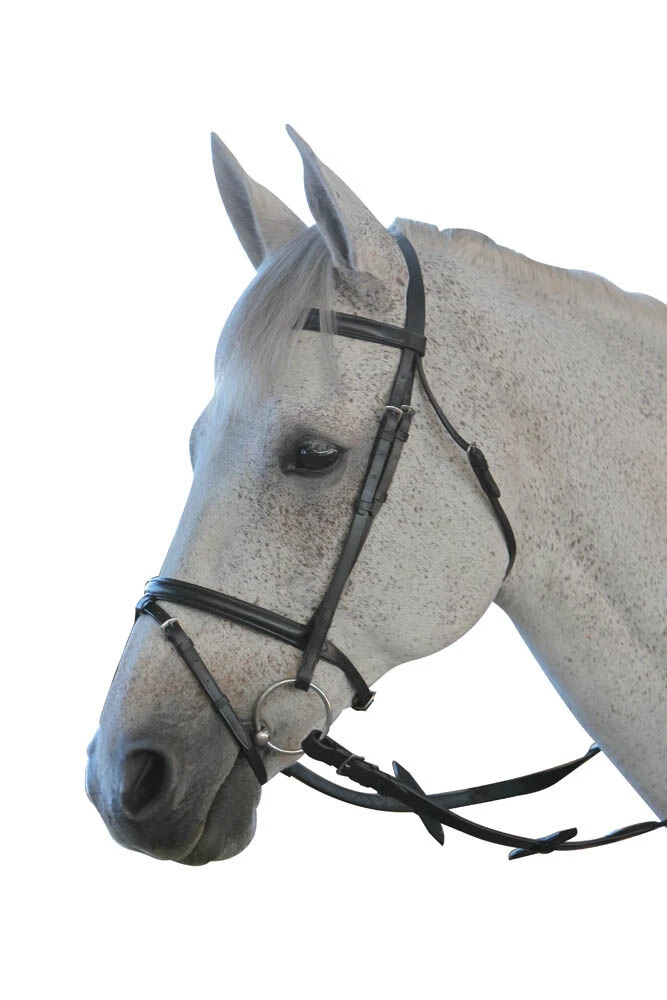 Flash Bridle III
