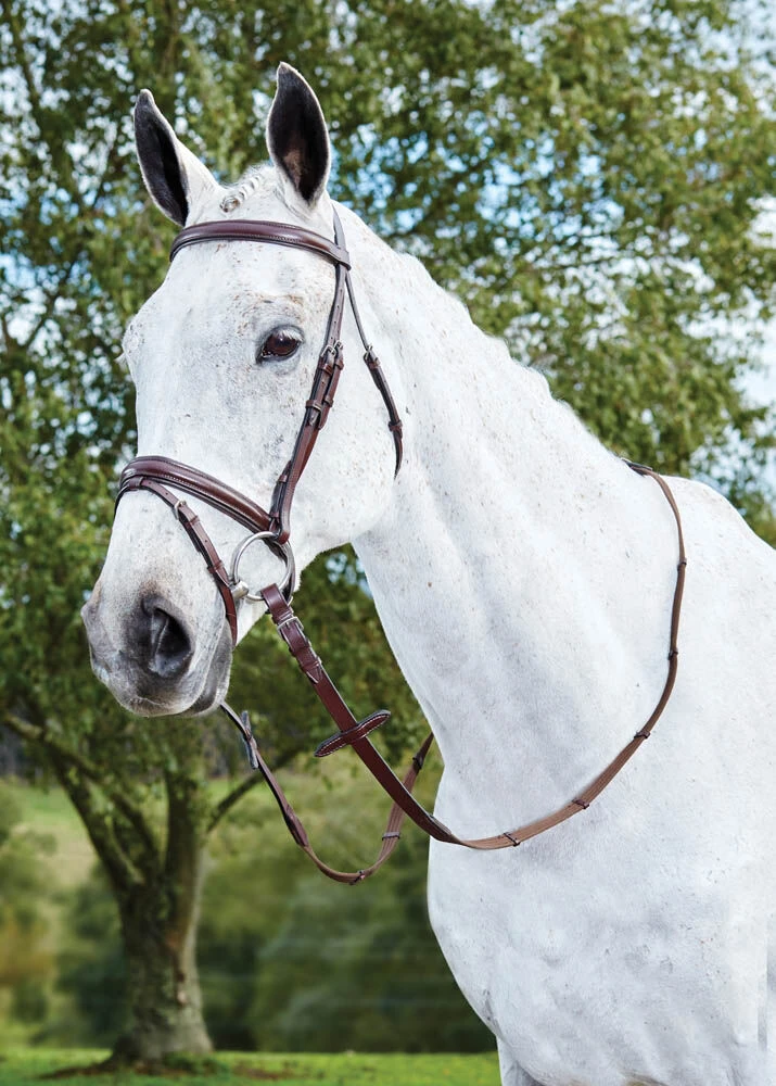 Flash Bridle III