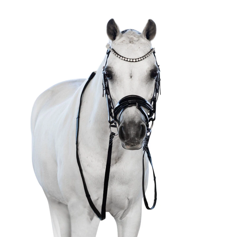Essential Pony Bridle With Flash
