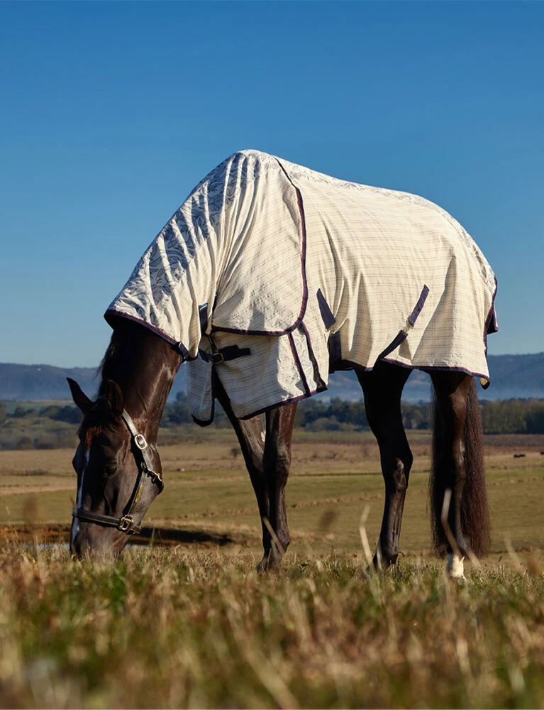 Cotton Summer Sheet Combo