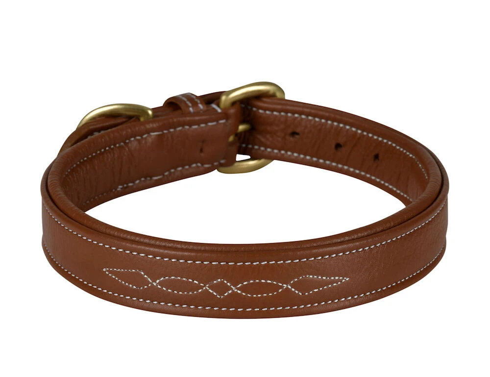 Fancy Stitch Collar