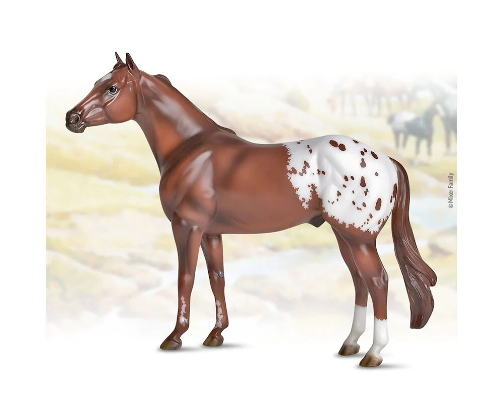 Ideal Series - Appaloosa