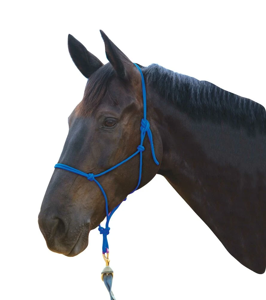 Nylon Rope Headcollar